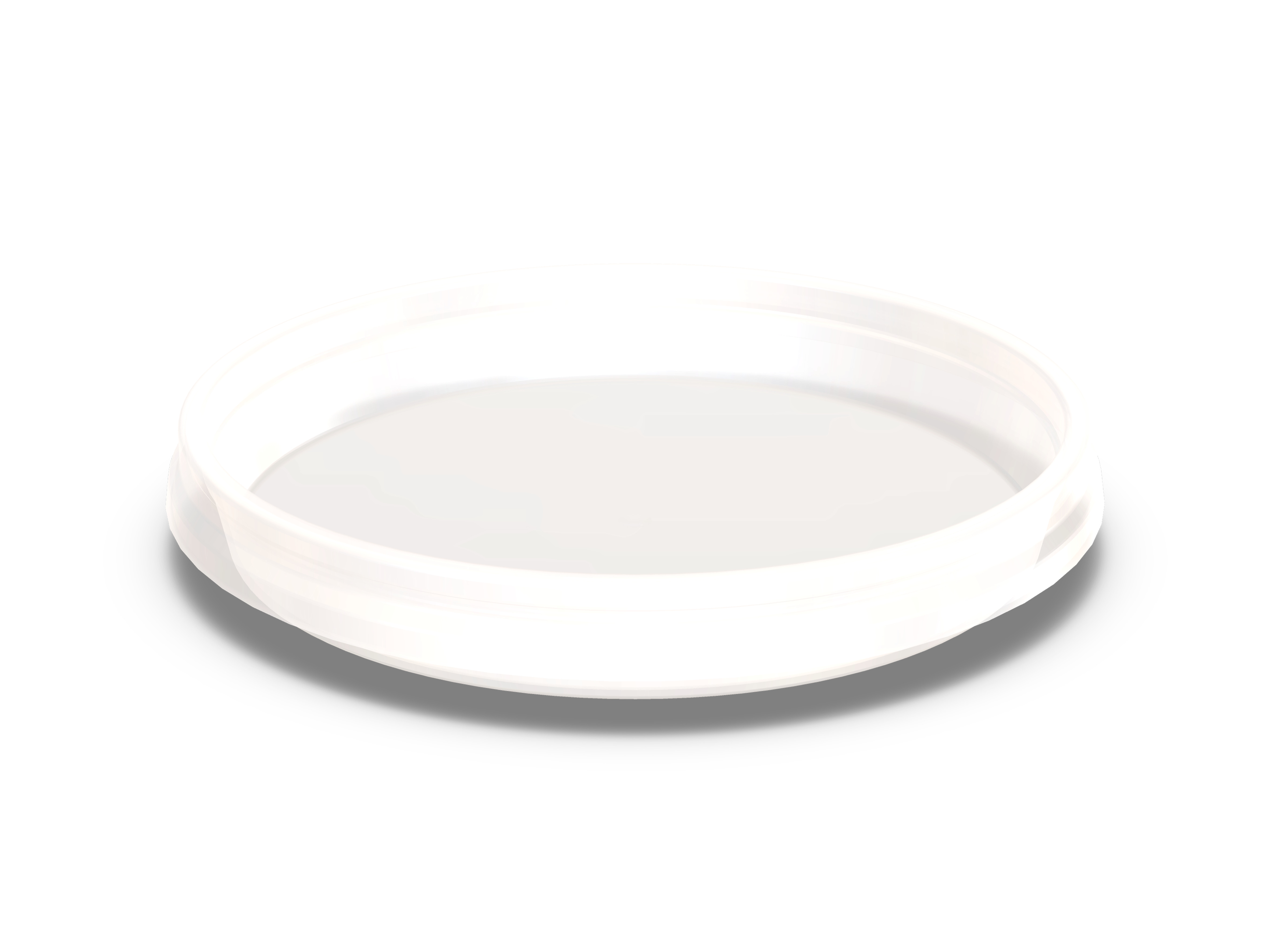DETB_67_transparent neu
