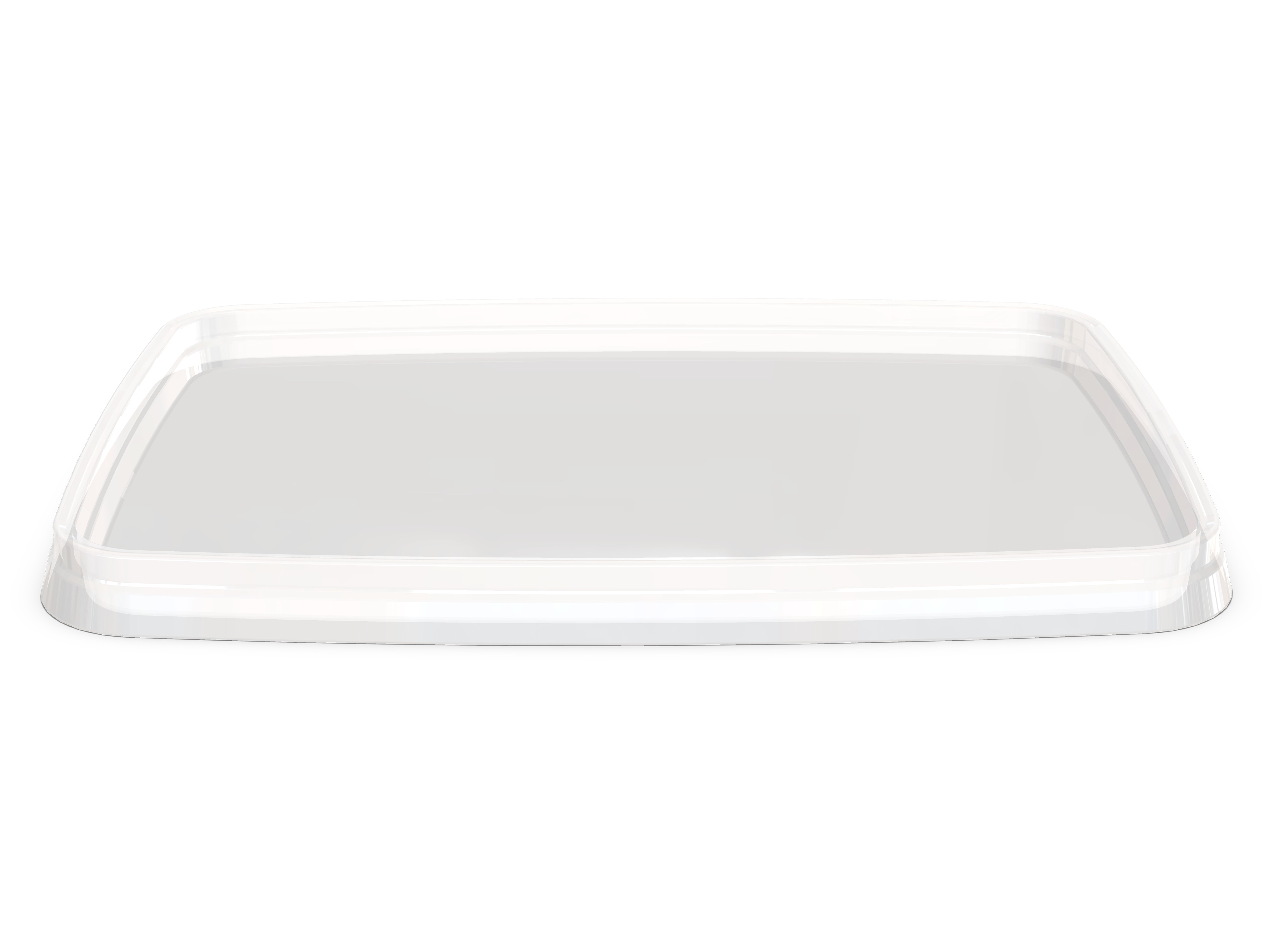 DETS580_transparent